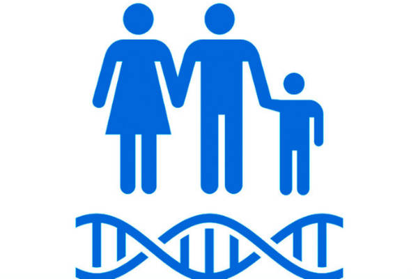 herencia genetica